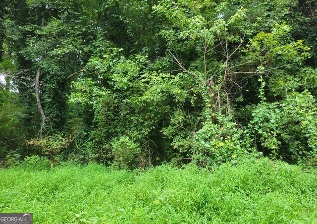 Property Photo:  0 Clemmons Drive  GA 30294 