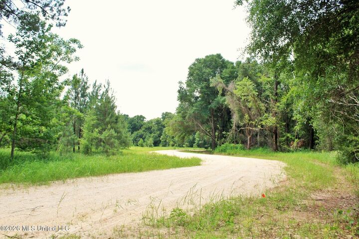 Property Photo:  24.48ac River Road  MS 39452 