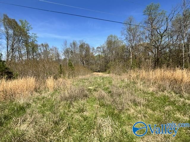 Property Photo:  19 Acres County Road 148  AL 35772 