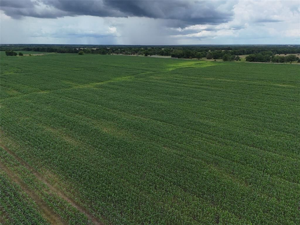 Property Photo:  150001 Fm 198  TX 75441 