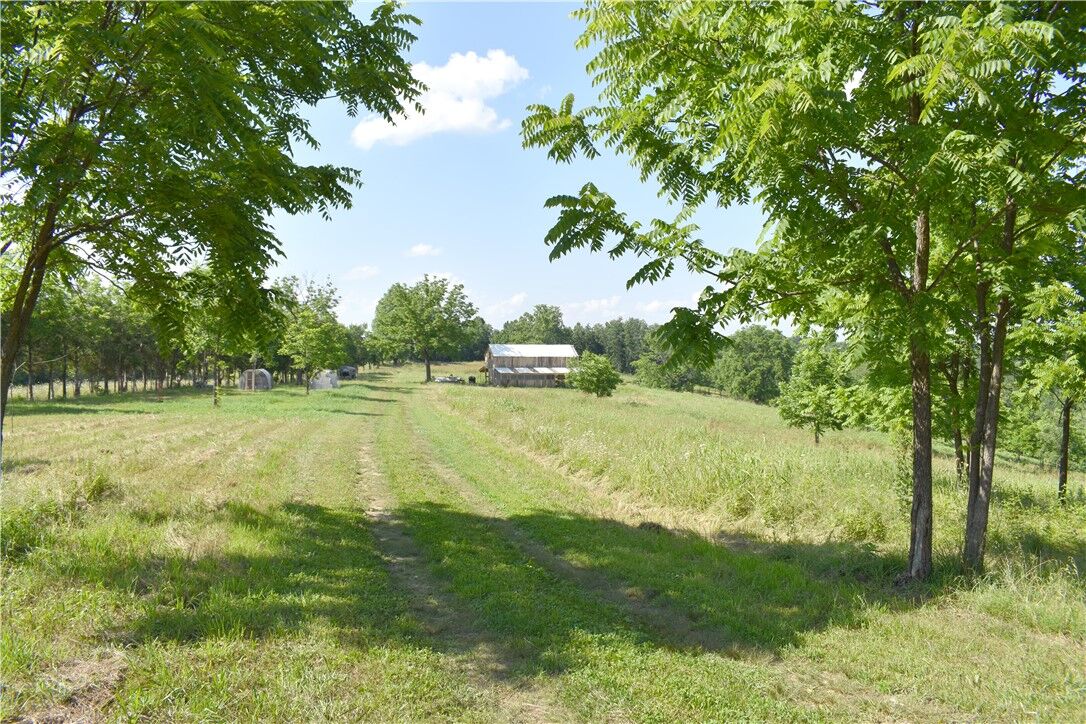 Property Photo:  201 May Pop Lane  AR 72650 