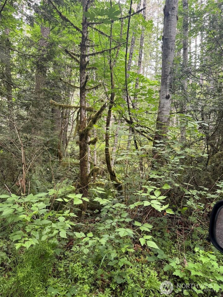 Property Photo:  0 Xx  Widme Road NE  WA 98370 