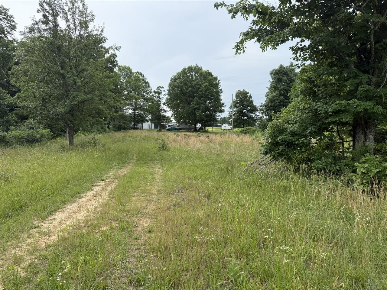 Property Photo:  120 Center Point Loop  KY 42765 