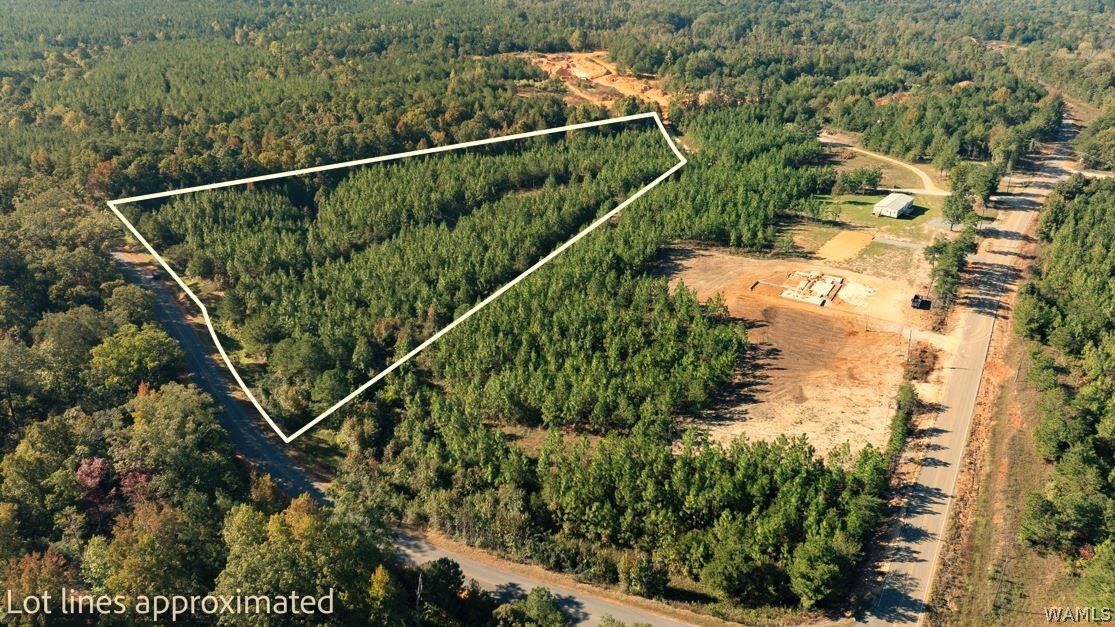 Property Photo: 0 Phelps Road AL 35406