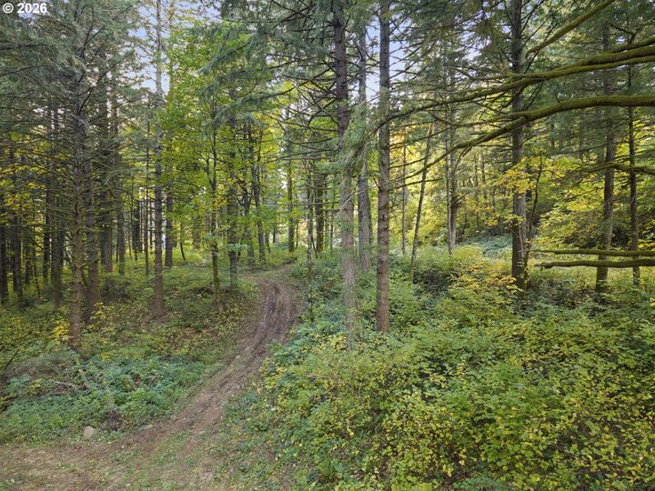 Property Photo:  0 Warren Rd 4  WA 98639 