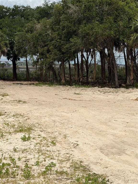 Property Photo:  9110 Woodsman Cove Lane  FL 32226 
