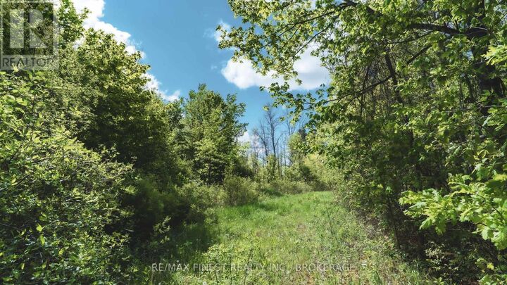 343 Church Road — photo 1