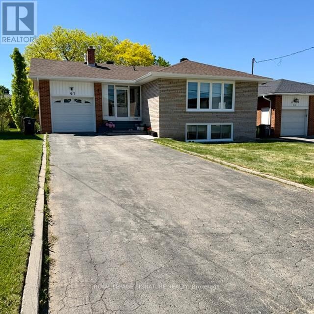 Property Photo:  61 Anewen Drive Lower  ON M4A 1R9 