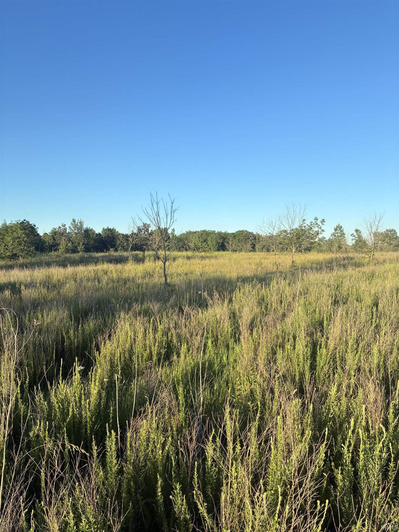 Property Photo:  0 Stanley Road  IN 47613 