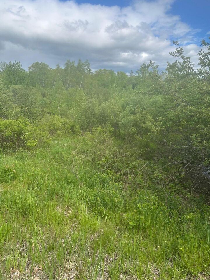 Property Photo: Lot 5 Unionville Road ME 04680