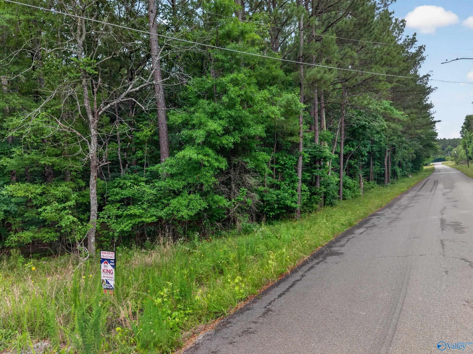 Property Photo:  2 Lots Christopher Avenue  AL 35907 