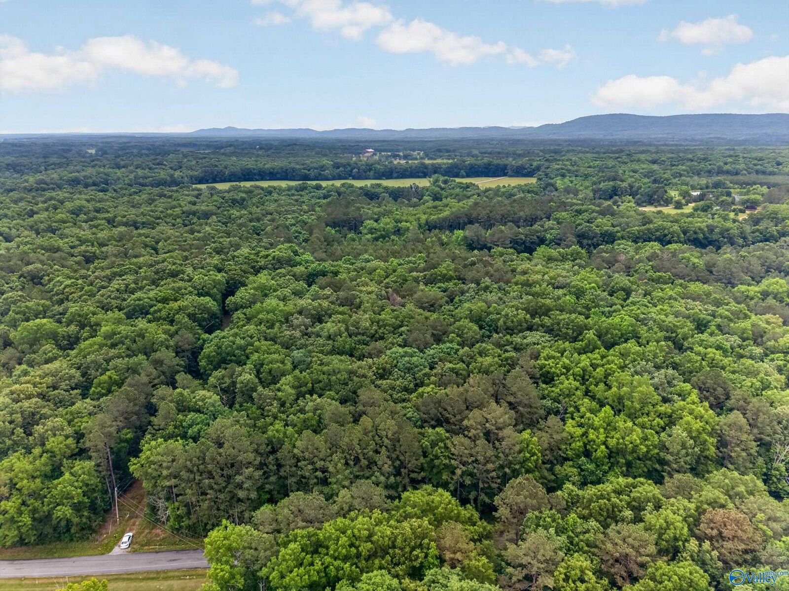 Property Photo: 2 Lots Christopher Avenue AL 35907
