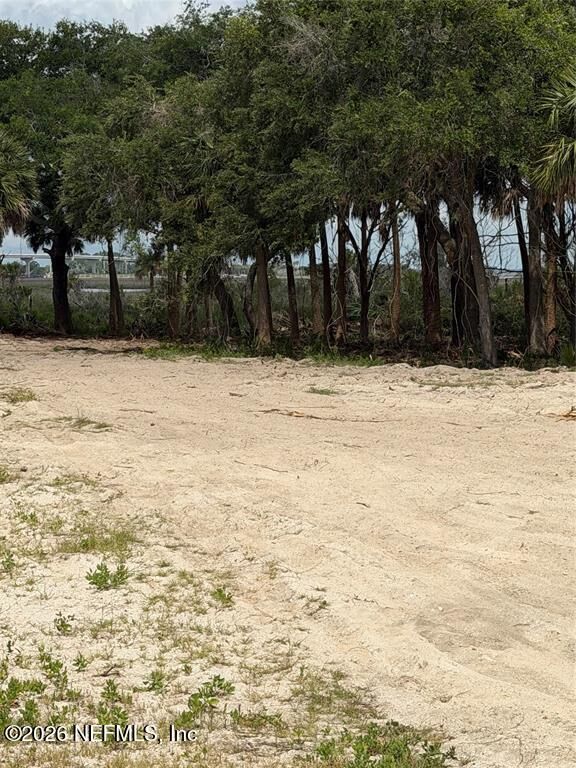 Property Photo:  9110 Woodsman Cove Lane  FL 32226 