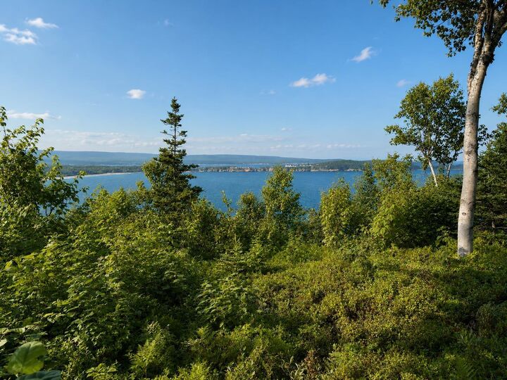 Property Photo:  Cabot Trail  NS B0C 1L0 