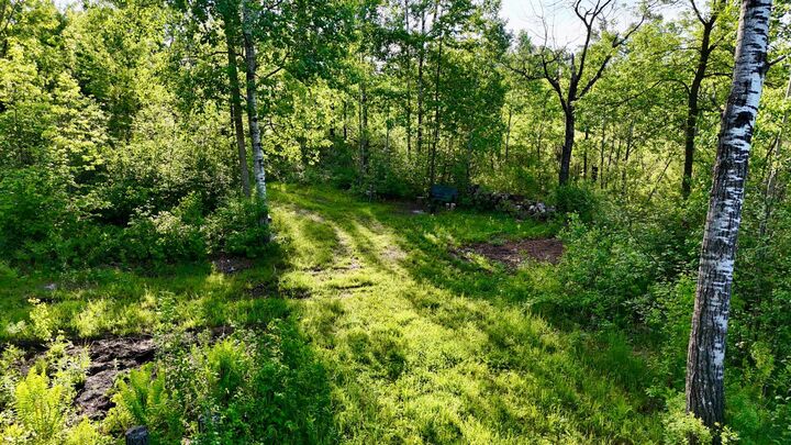 Property Photo: Tbd Highway 65 MN 56342
