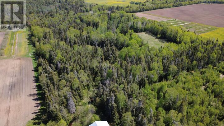 Property Photo:  97 C Main Street  NL A0L 1K0 