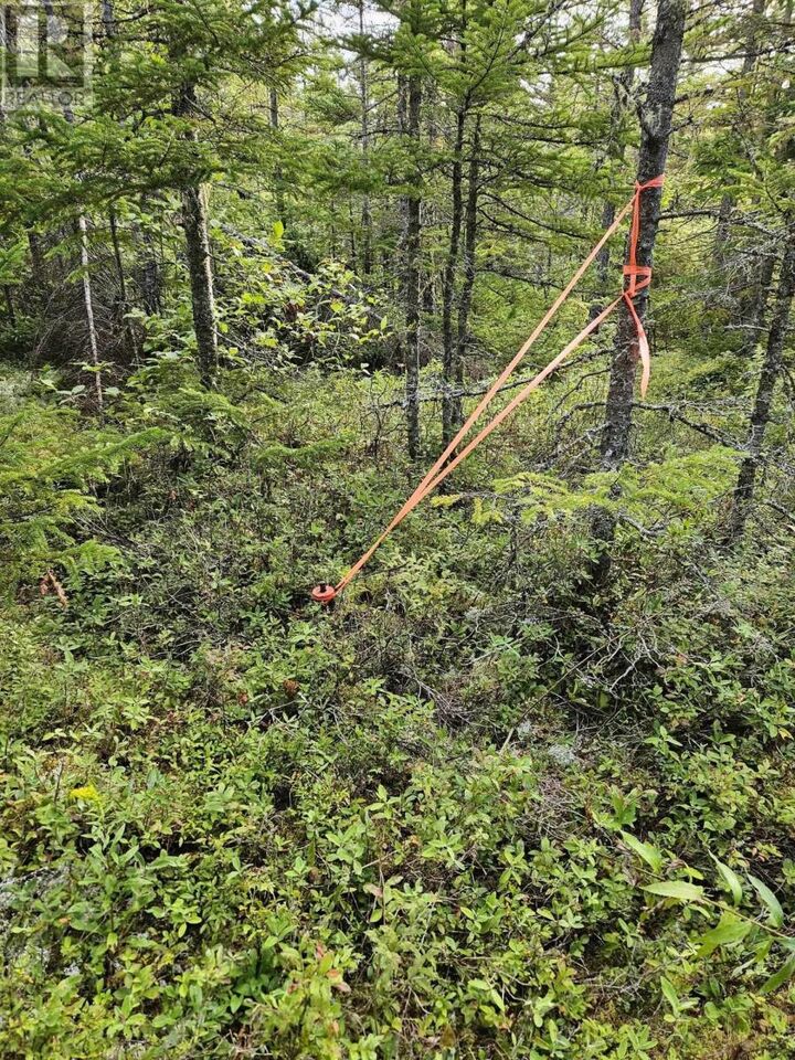 Property Photo:  Cogswell Road  NS B0E 1J0 