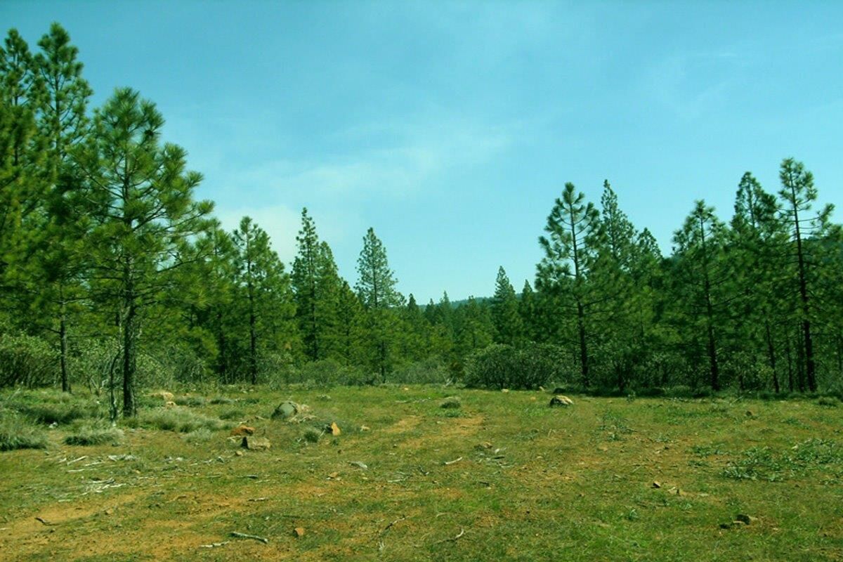 Property Photo:  0 Allen Way  CA 95919 