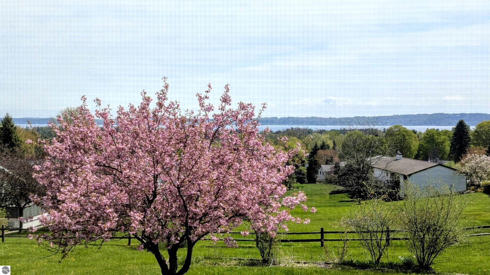 Property Photo: 9754 E Harbor Hills Drive MI 49684