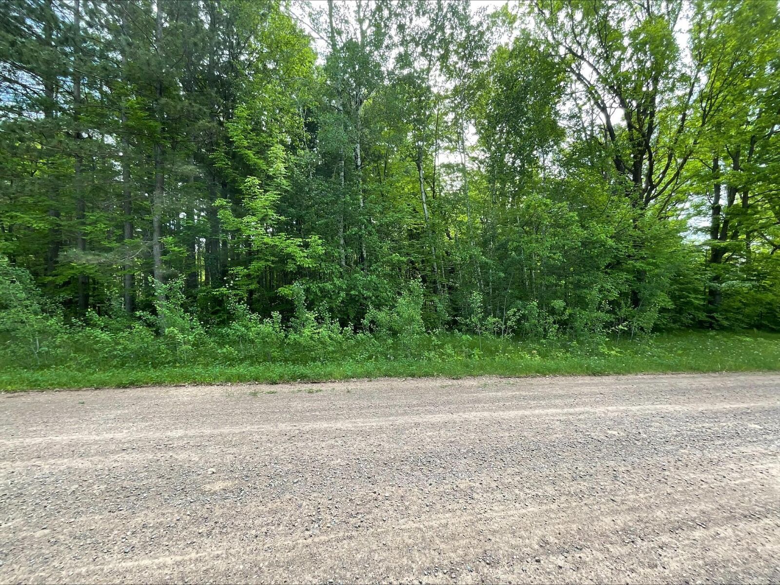 Property Photo: 25945 Pine View Beach Trail MN 55007