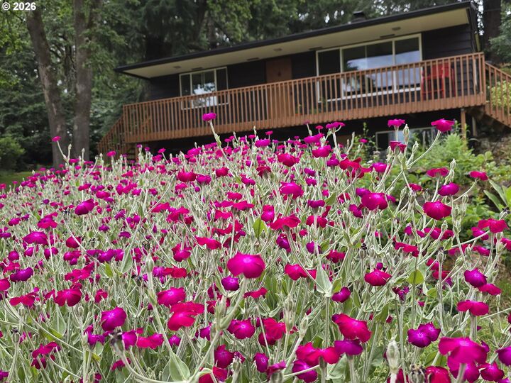 Property Photo:  13710 SE Maloy Ln  OR 97222 
