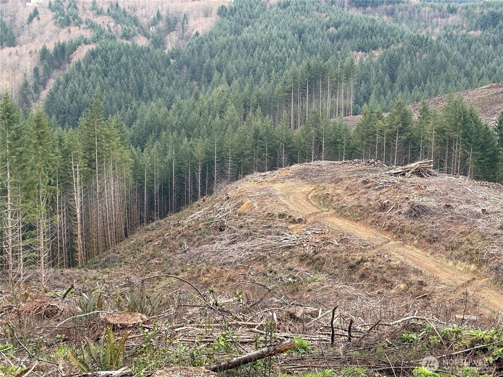 Property Photo:  0  McKee Road  WA 98611 