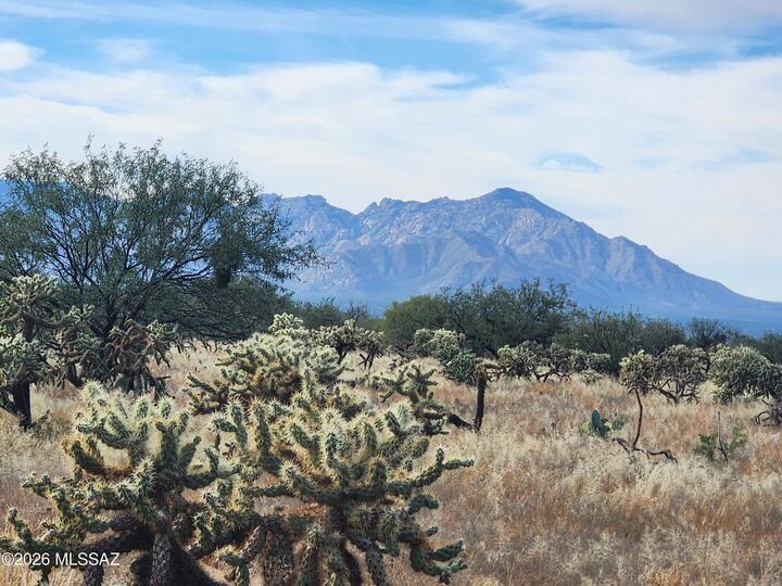 Property Photo: 15102 S Muldoon Avenue 82 AZ 85736