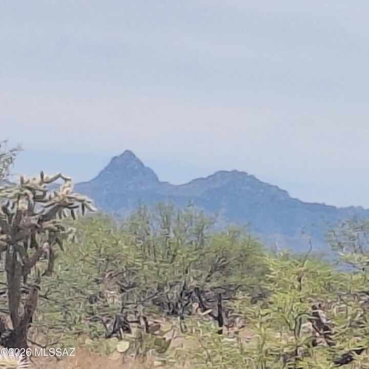Property Photo:  15102 S Muldoon Avenue 82  AZ 85736 