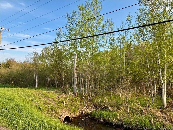 33.8 Acres Route 310 — photo 1