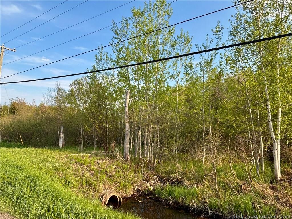 Property Photo:  33.8 Acres Route 310  NB E8T 3K5 