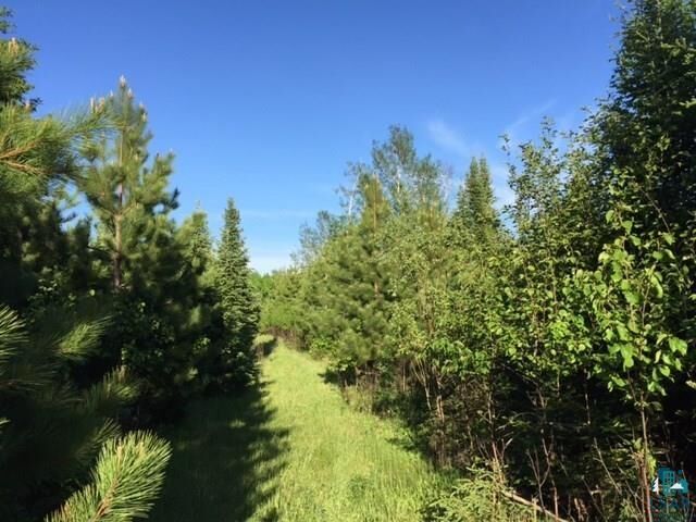 Property Photo:  1142 Camp 20 Rd  MN 55606 
