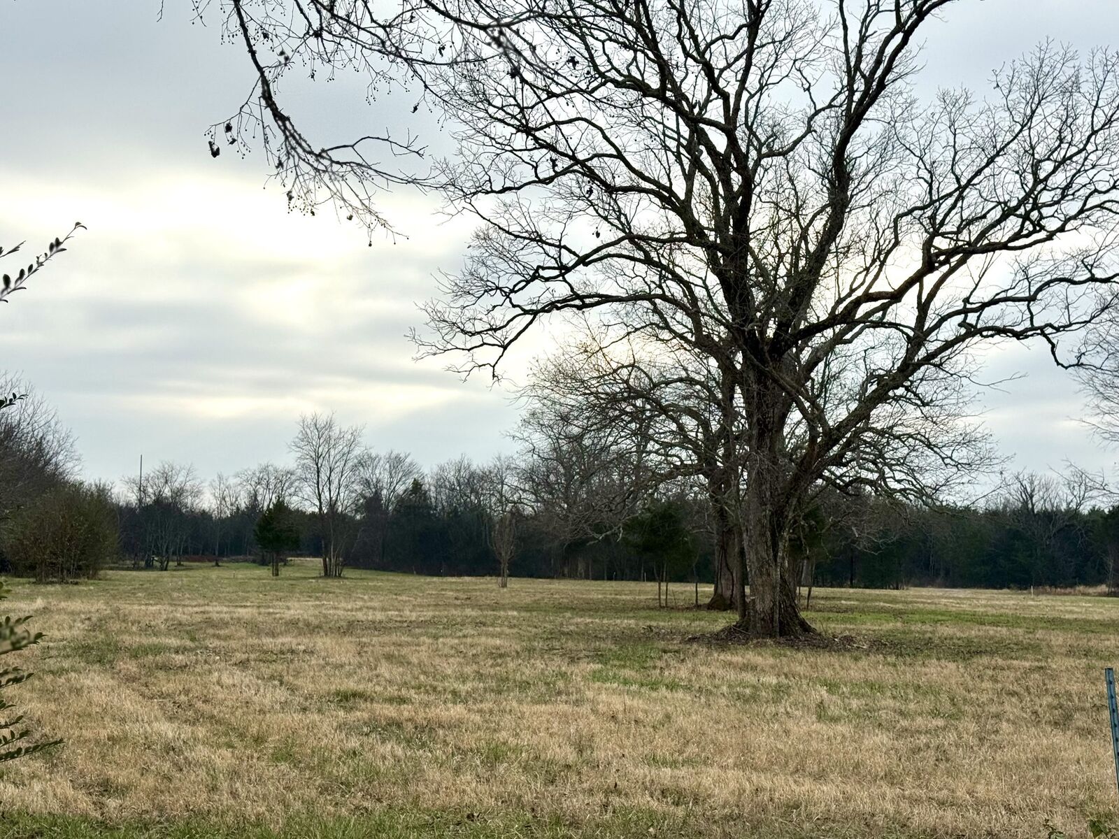 Property Photo: 0 Vesta Road TN 37090