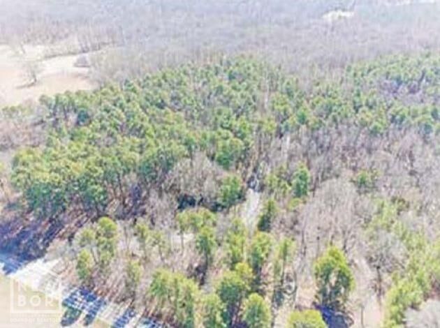 Property Photo: 4223 County Road 318 AR 72401