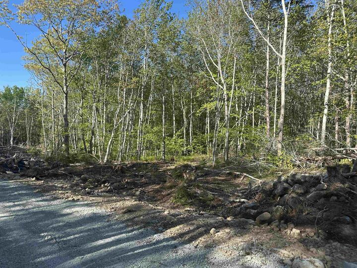Property Photo:  Lot 8 Shore Road  NS B0T 1K0 