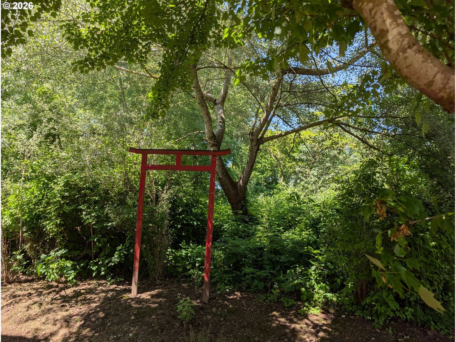 Property Photo: N Tyndall Ave OR 97217