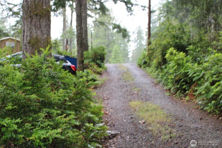 Property Photo:  291  Collins Lake Drive  WA 98528 