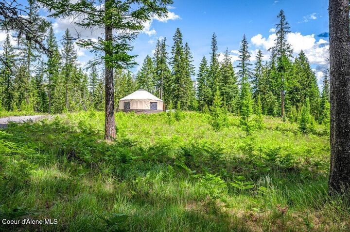 Property Photo:  317 Treetop Bluff Ln  ID 83805 