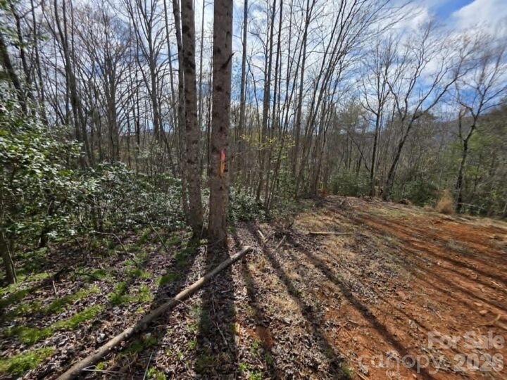 Property Photo: Lot 5 Kerlee Lane NC 28762
