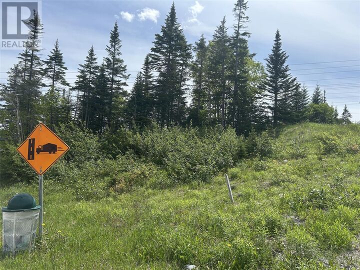 Property Photo:  196 Massey Drive  NL A2H 7A2 