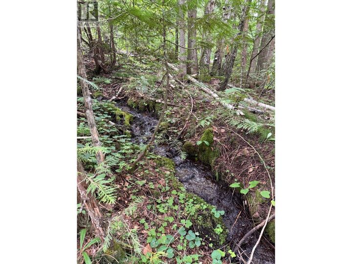 Property Photo:  Lot 2 Martens Road  BC V0G 2C0 