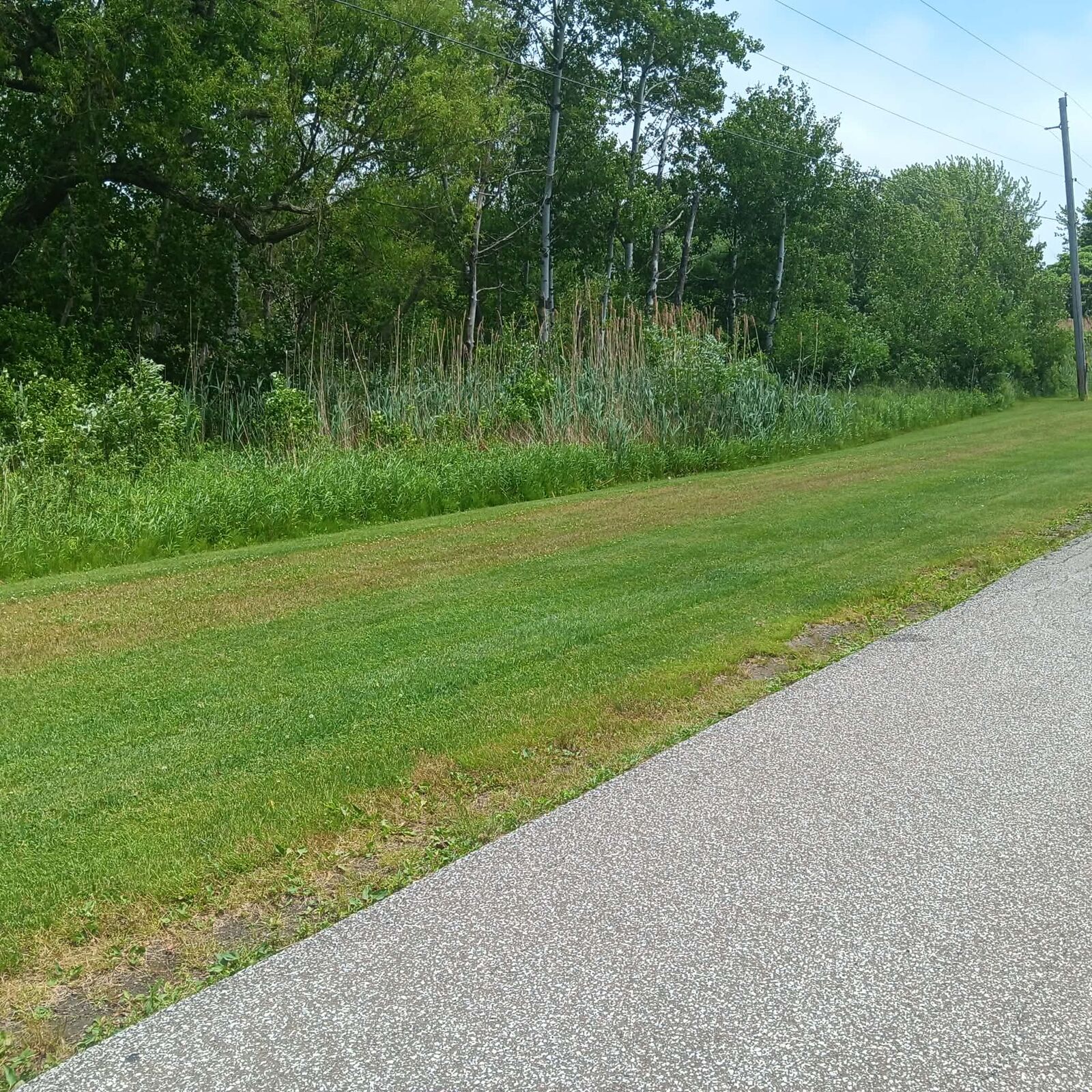Property Photo:  8590 W Lake Road  PA 16423 