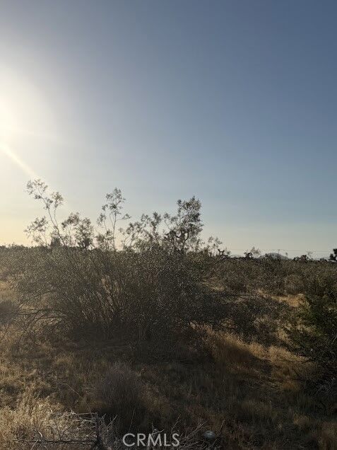 Property Photo:  0 Mountain Rd,  CA 92372 