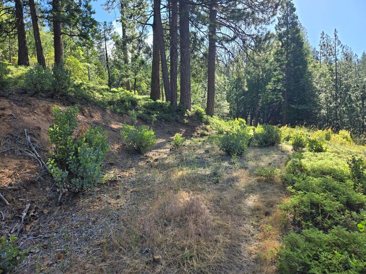 Property Photo: 2964 Murphys Drive CA 95223