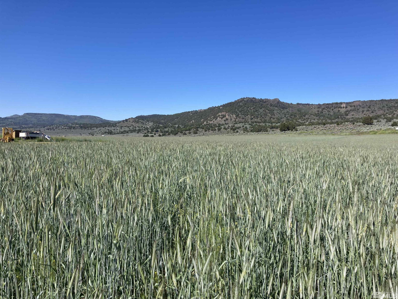 Property Photo: 11069 Mosquito Road NV 89412