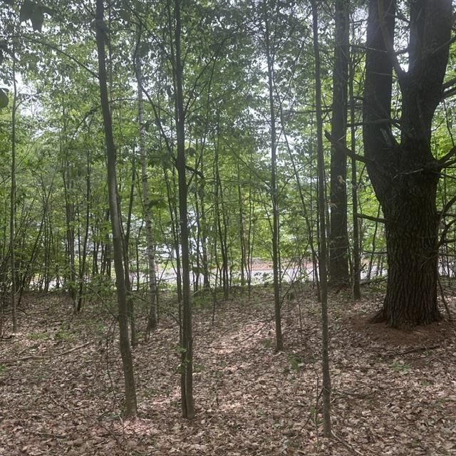 Property Photo: 44.1 Lovell Lake Road NH 03872