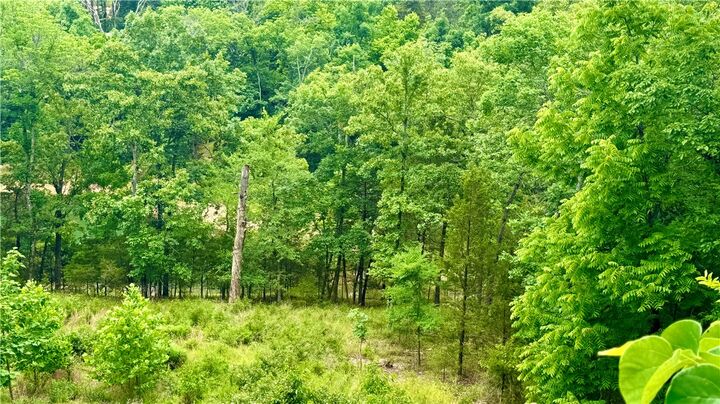 Property Photo:  20287 Copper Ridge Road  AR 72756 
