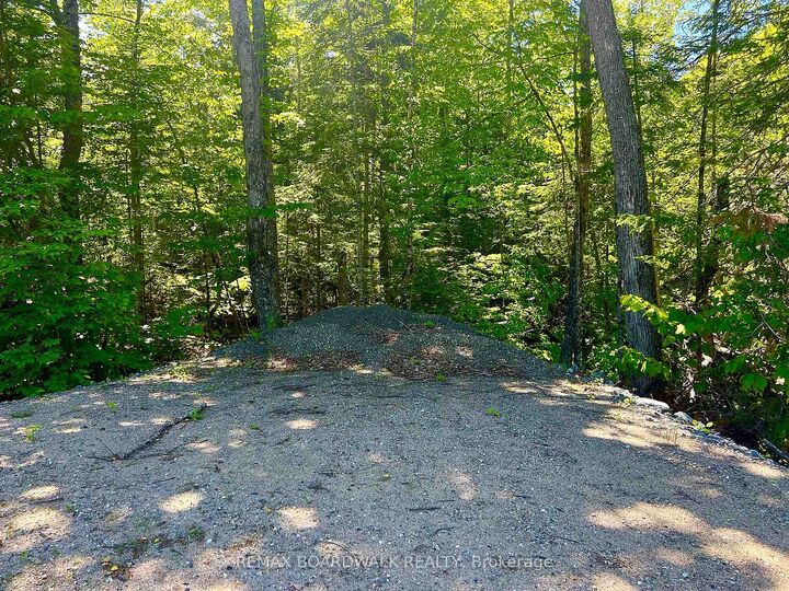 Property Photo:  00 Buckshot Lake Road  ON K0H 1K0 