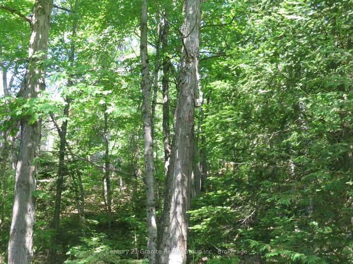 Property Photo:  0 Fire Route 330 Route  ON K0M 1R0 