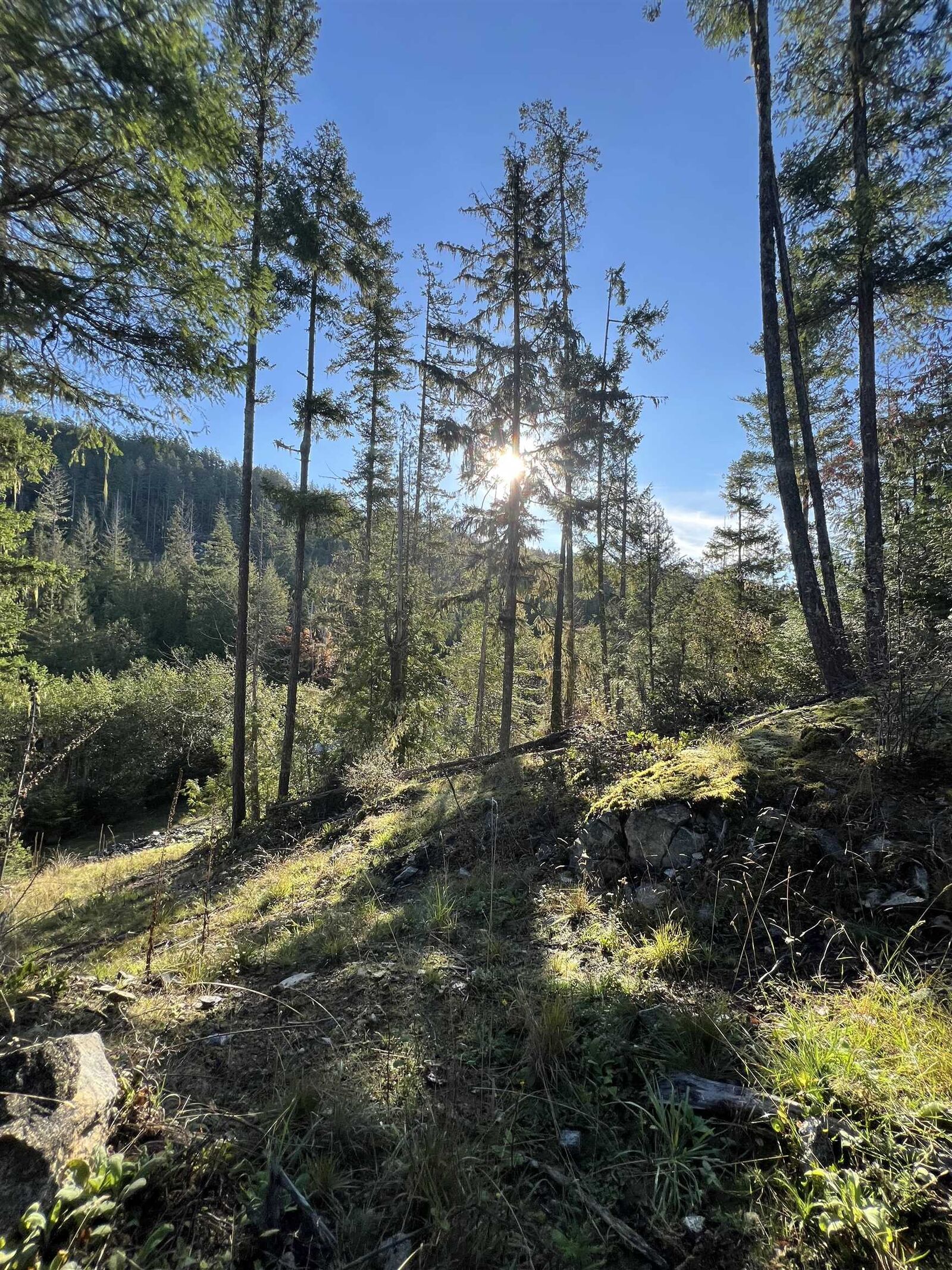 Property Photo:  13830 Sakinaw Drive  BC V0N 1S1 
