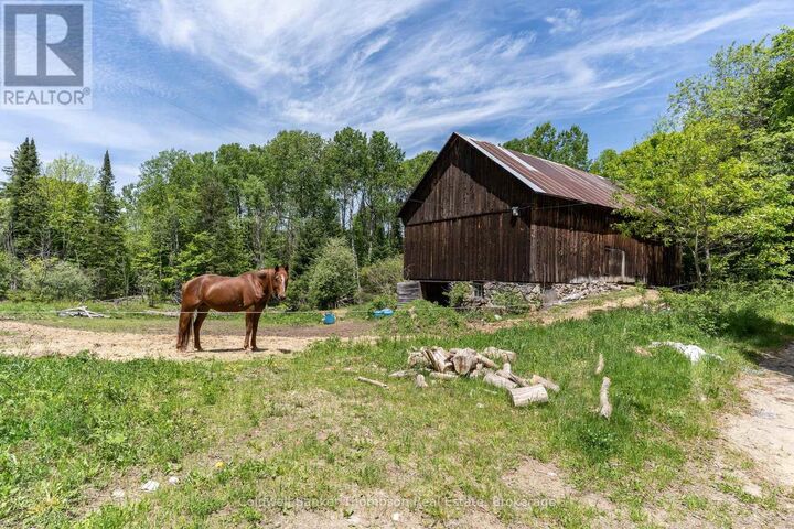 Property Photo:  583 Three Mile Lake Road  ON P0A 1L0 